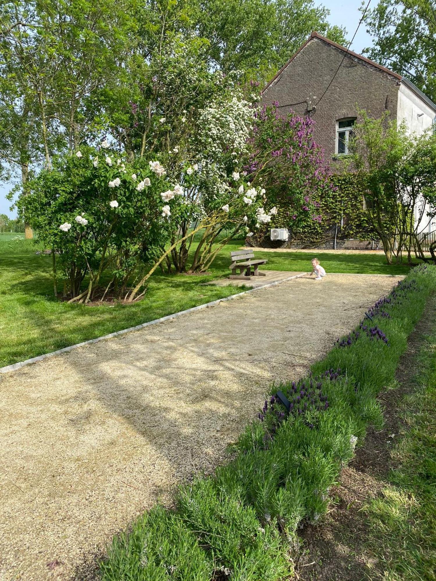 Huisje Aan De Schelde Spiere Exterior foto