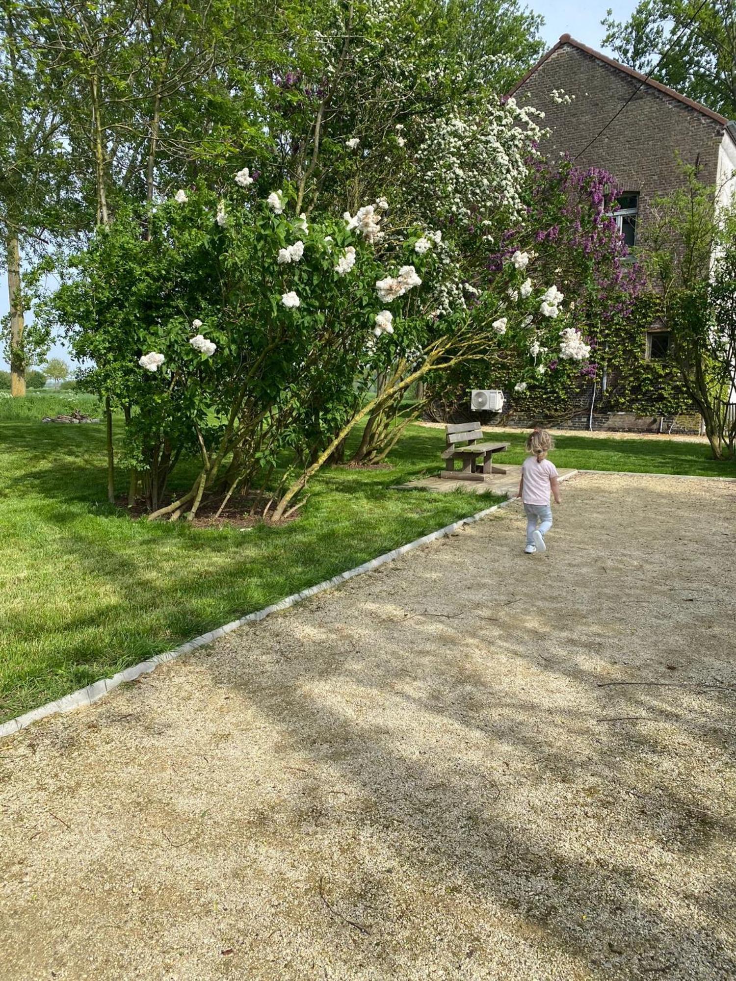 Huisje Aan De Schelde Spiere Exterior foto