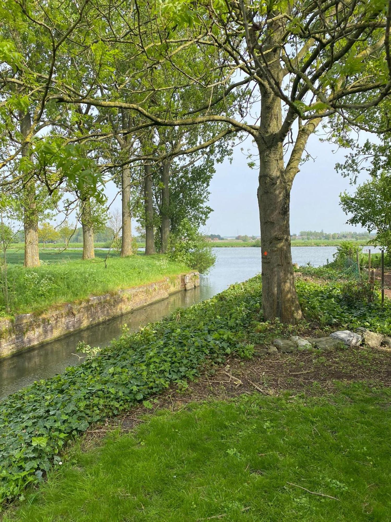 Huisje Aan De Schelde Spiere Exterior foto